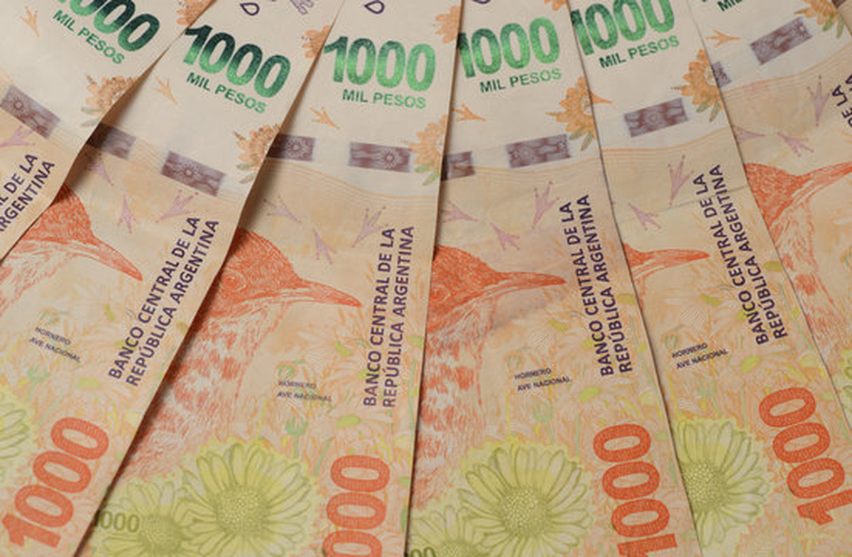 Las Asignaciones de Pago Único se pagarán en Anses desde el 6 de octubre hasta el 14 de noviembre para todas las terminaciones de documento.