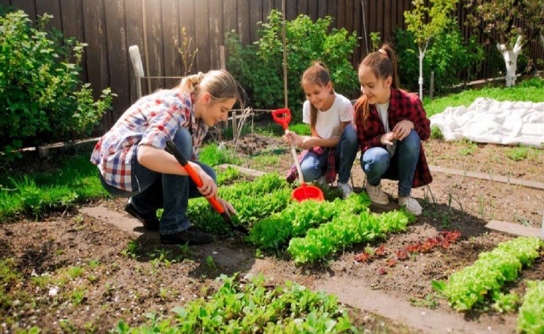 9 recomendaciones para producir en la huerta en temporada de invierno