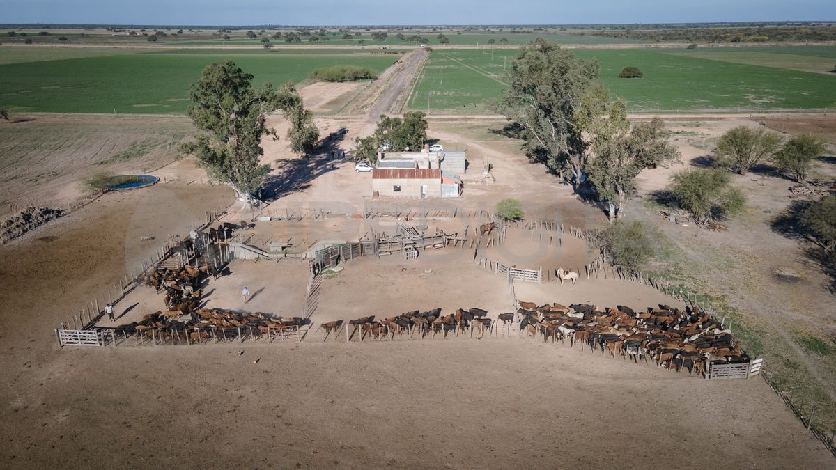 Sobre la figura del gran propietario rural