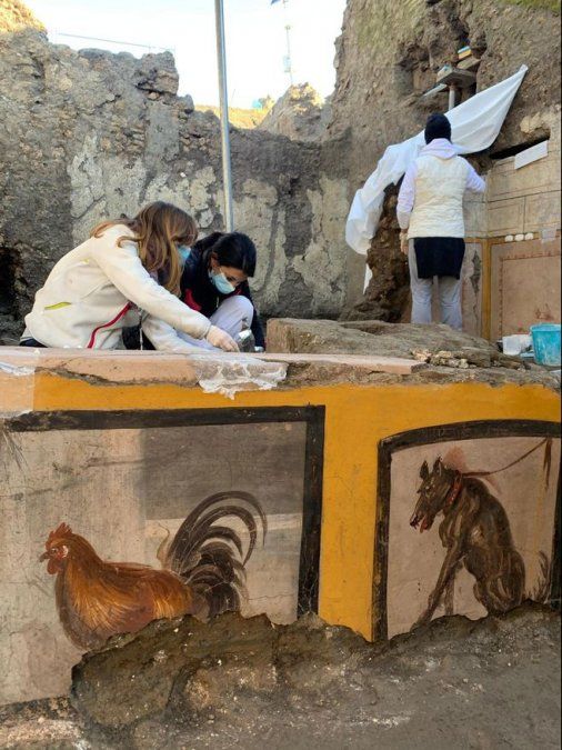 Otro dato interesante es el descubrimiento de huesos humanos, hallados parcialmente alterados por el paso de túneles realizados en la época moderna por excavadoras clandestinas en busca de objetos preciosos. / PARCO ARCHEOLOGICO DI POMPEI / H