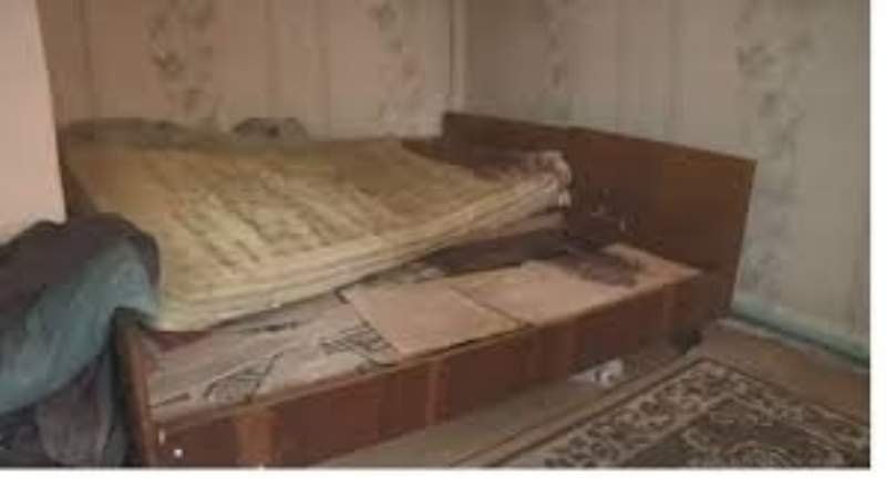 Descuartizó a su marido y se lo dio de comer a los perros