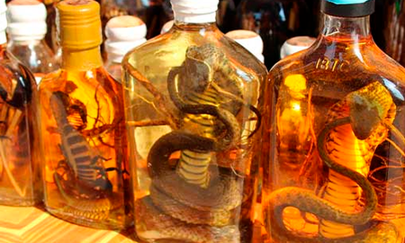 A decir verdad, hoy día se venden animales envasados en licor más como “ornamento” que como “medicina”. Sin embargo, el debate está sobre la mesa y éstos son los más comunes. A decir verdad, hoy día se venden animales envasados en licor más como “ornamento” que como “medicina”. Sin embargo, el debate está sobre la mesa y éstos son los más comunes.