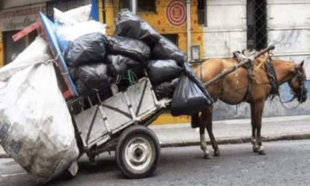 La ONG SOS Caballos se inició en el 2007 porque se veían muchos carros con los caballos en mal estado. La ONG SOS Caballos se inició en el 2007 porque se veían muchos carros con los caballos en mal estado.