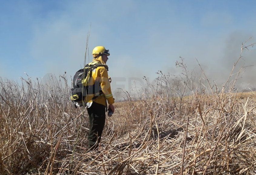 Los trabajos para calmar el fuego continuarán el martes. 