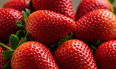 Las frutillas son muy elegidas. Las frutillas son muy elegidas.
