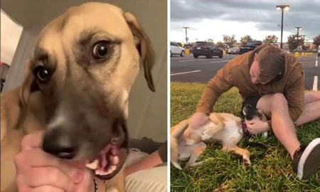 Denver Hansen y su perro Sampson, se hicieron grandes amigos en su misión durante sus labores de patrullaje en 2020 y el lazo entre ambos ya no pudo romperse. Denver Hansen y su perro Sampson, se hicieron grandes amigos en su misión durante sus labores de patrullaje en 2020 y el lazo entre ambos ya no pudo romperse.
