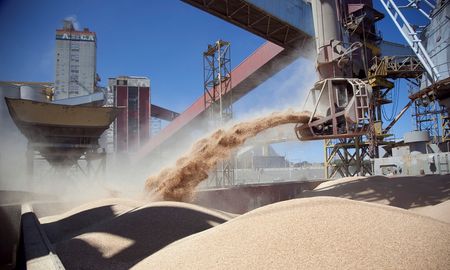 puerto de bahia blanca: llegaron 227.910 toneladas de granos en la ultima semana puerto de bahia blanca: llegaron 227.910 toneladas de granos en la ultima semana