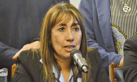 La diputada radical, Roxana Reyes. La diputada radical, Roxana Reyes.