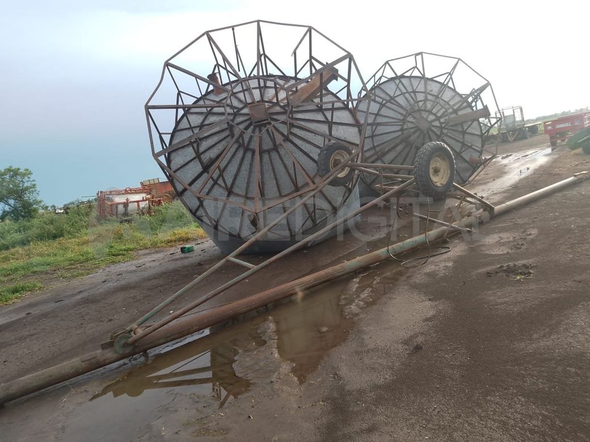 Fuerte temporal de viento en el norte provincial: hubo voladuras de techos y árboles caídos 