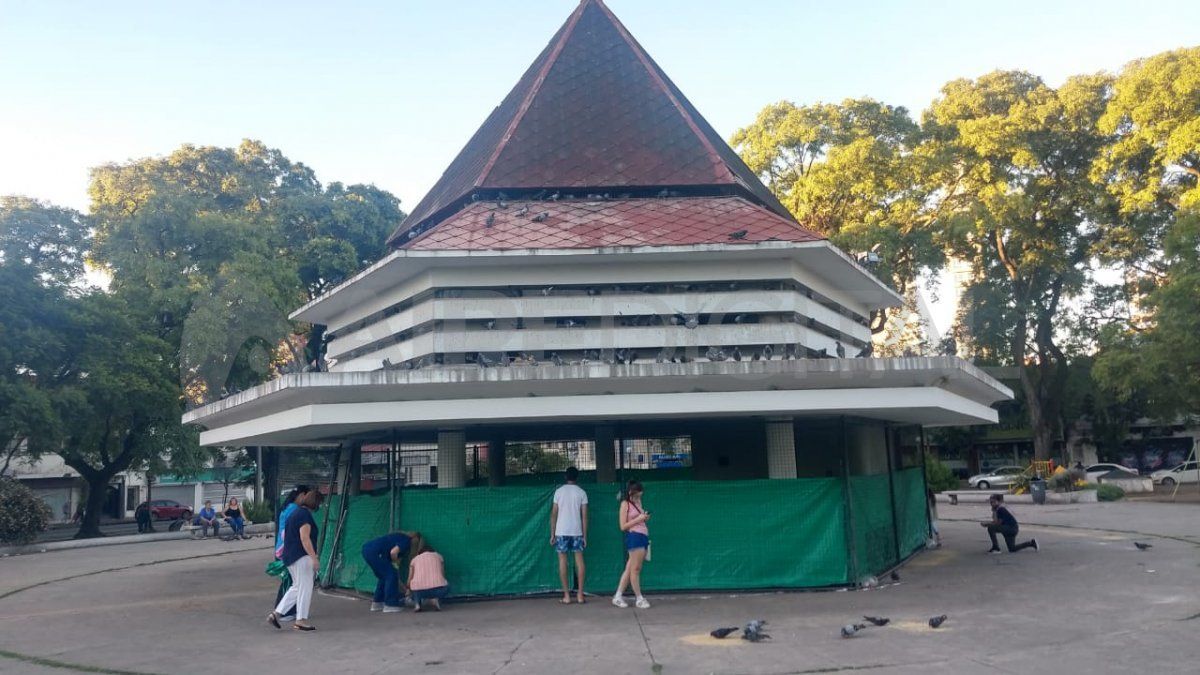 Defensores de animales denunciaron la existencia de aves muertas