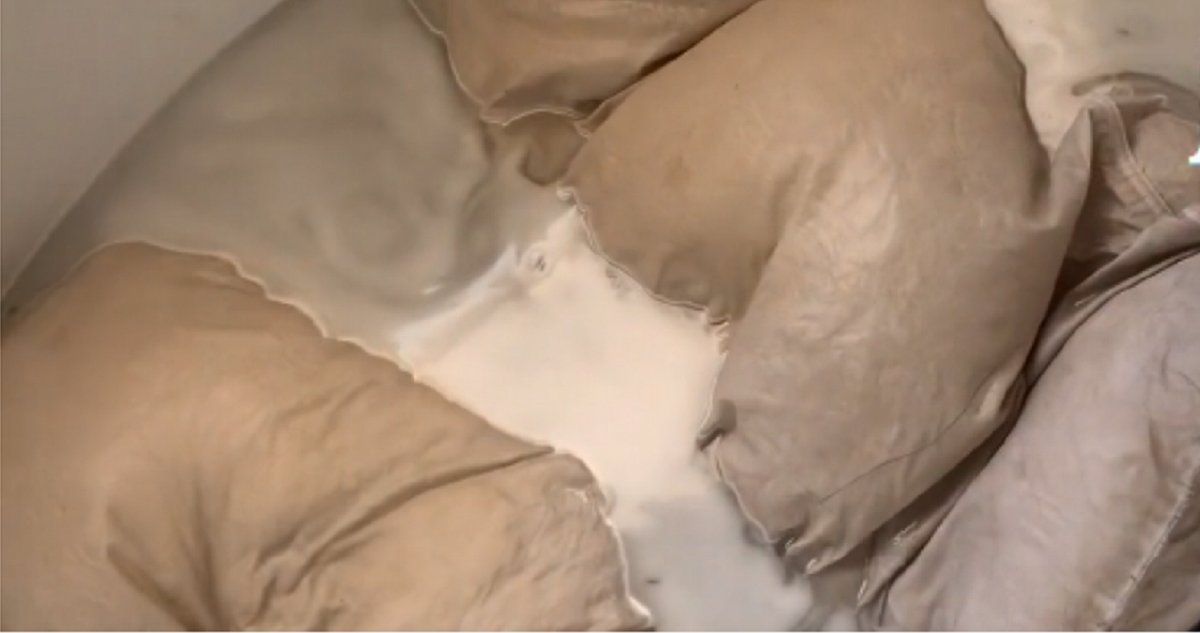 Video viral: lavó las almohadas por primera vez en cinco años y el resultado impactó a todos en las redes sociales. &nbsp;