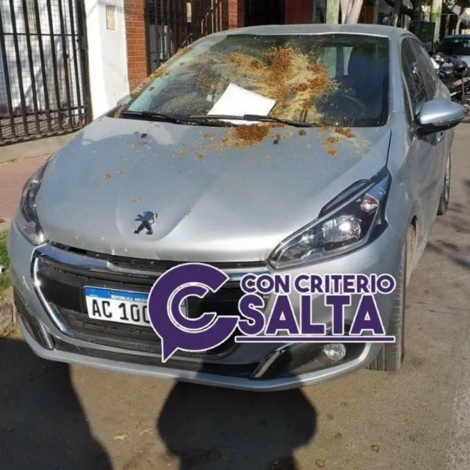 Un hombre toleró que tal auto interrumpa la circulación y le dejó una "sorpresita" en el Capó.
