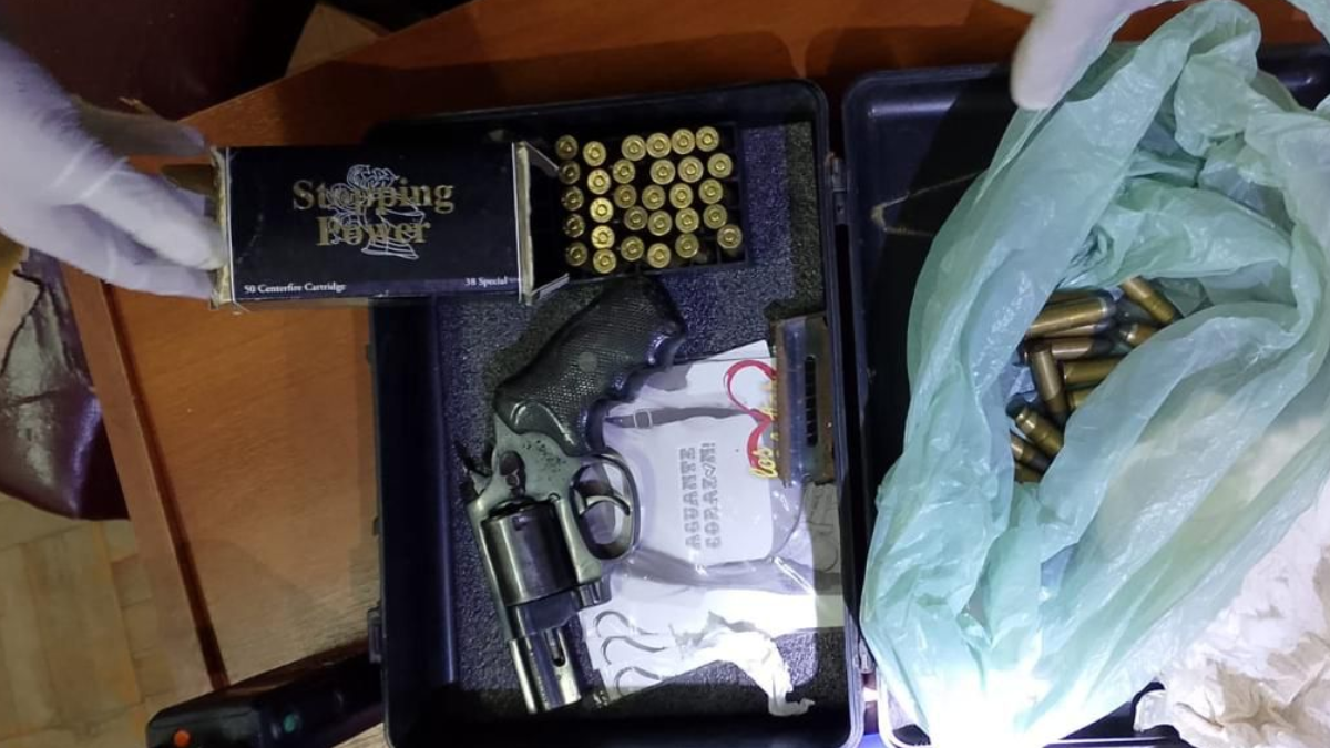 Distintas intervenciones policiales permitieron retirar de circulación 17 armas de fuego.