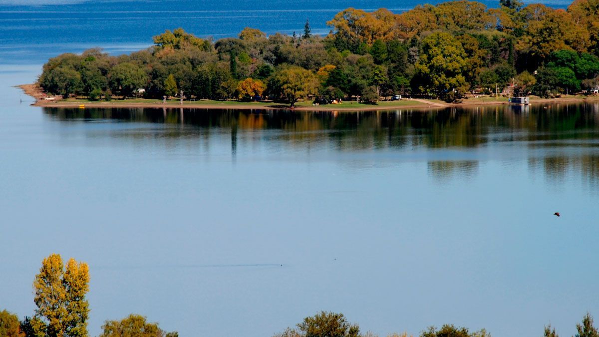 La Reserva Pumakawa realiza una labor crítica en la región para salvar ejemplares de puma y otras especies desplazadas por los incendios y el avance urbano. La Reserva Pumakawa realiza una labor crítica en la región para salvar ejemplares de puma y otras especies desplazadas por los incendios y el avance urbano.
