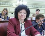 Silvia Malfesi, diputada provincial de bloque Somos Vida.