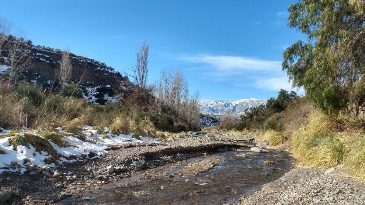 Al formar parte del Parque Provincial Cordón del Plata, la preservación de la flora autóctona y la limpieza de las márgenes del río resultan fundamentales para mantener el equilibrio del área protegida. Al formar parte del Parque Provincial Cordón del Plata, la preservación de la flora autóctona y la limpieza de las márgenes del río resultan fundamentales para mantener el equilibrio del área protegida.