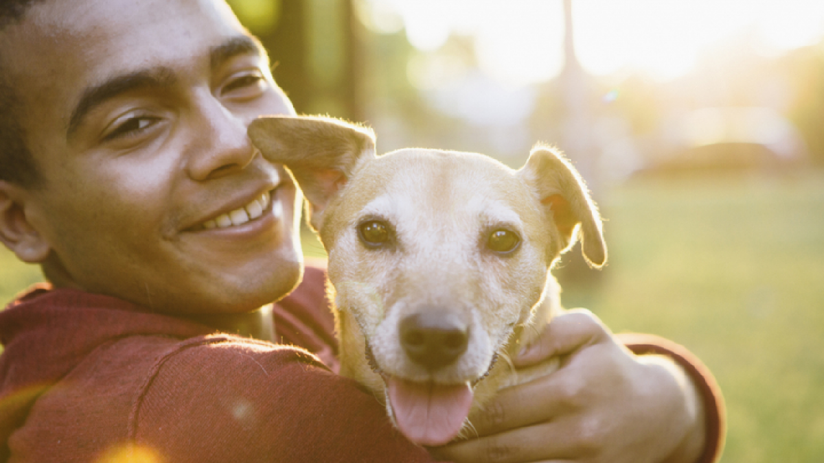 Según la Federación Cinológica Internacional, existen 343 razas distintas de perros y todas leales al ser humano.
