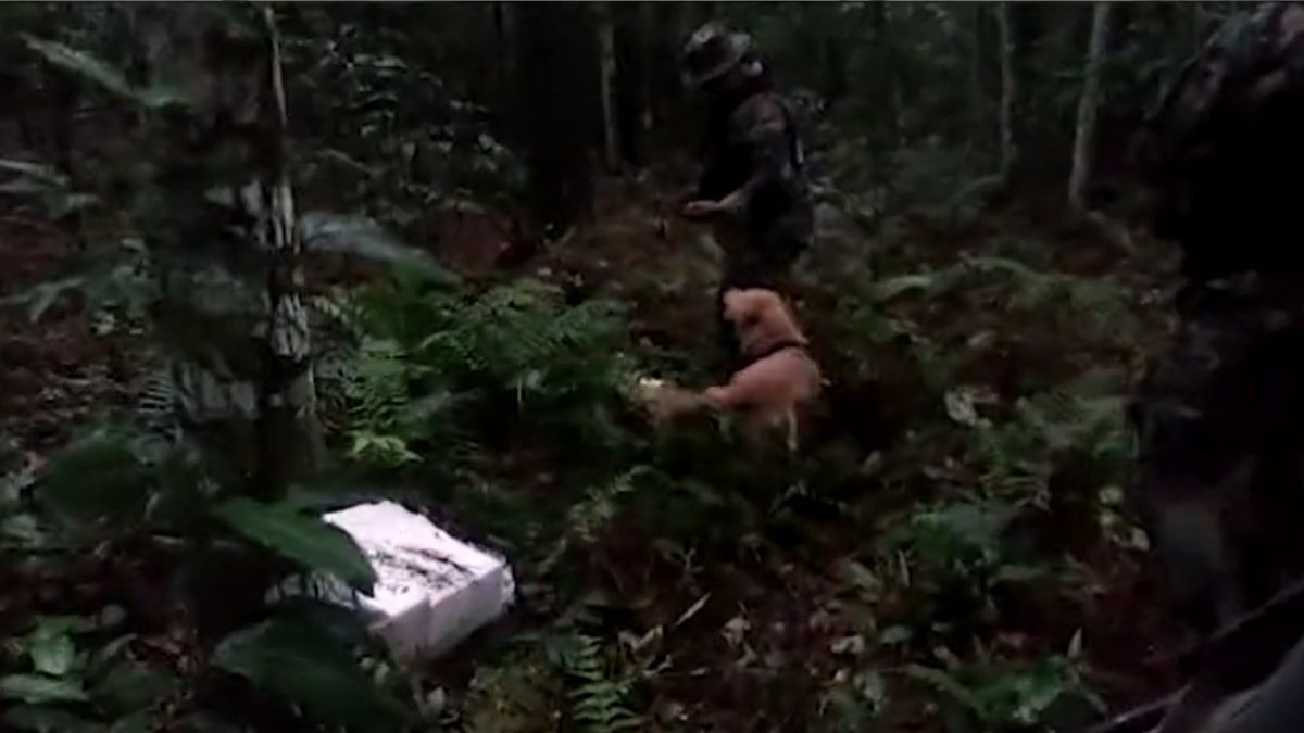 Misiones: con la ayuda de un perro adiestrado hallaron 130 kilos de marihuana