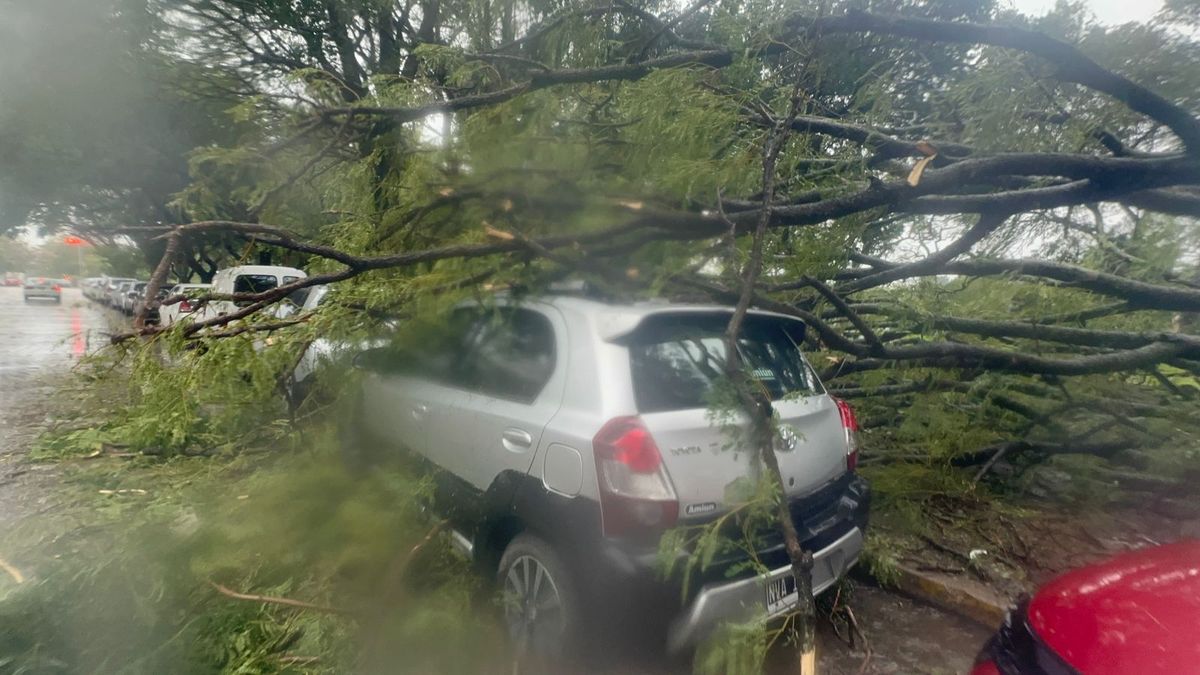 Las graves lluvias ocasionaron destrozos durante toda la jornada. Las graves lluvias ocasionaron destrozos durante toda la jornada.