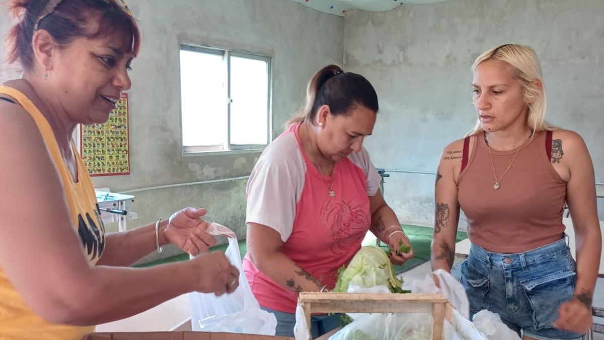 Las organizaciones trabajan incansablemente para exigir derechos básicos en los barrios, como acceso a alimentos, salud y acompañamiento en situaciones de violencia. Las organizaciones trabajan incansablemente para exigir derechos básicos en los barrios, como acceso a alimentos, salud y acompañamiento en situaciones de violencia.