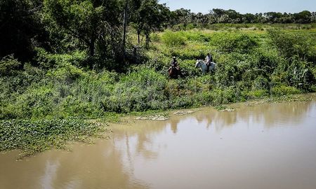 Los ambientalistas reclaman que se avance con el proyecto que había sido consensuado, luego de un largo proceso de debate. Los ambientalistas reclaman que se avance con el proyecto que había sido consensuado, luego de un largo proceso de debate.