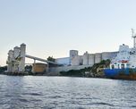 Vicentín es la principal empresa agroexportadora de capitales nacionales. Vicentín es la principal empresa agroexportadora de capitales nacionales.