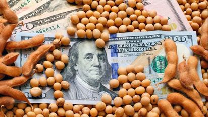 Qué cambia para el agro argentino con el fin del cepo y el dólar flotante