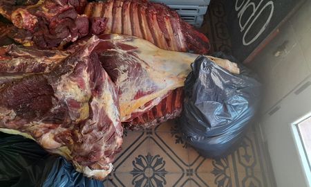 Durante los controles se secuestraron más de 550 kilos de carne y embutidos, panes de material estupefaciente y un arma de fuego. Interviene la división Microtráfico de la PDI por orden judicial. Durante los controles se secuestraron más de 550 kilos de carne y embutidos, panes de material estupefaciente y un arma de fuego. Interviene la división Microtráfico de la PDI por orden judicial.