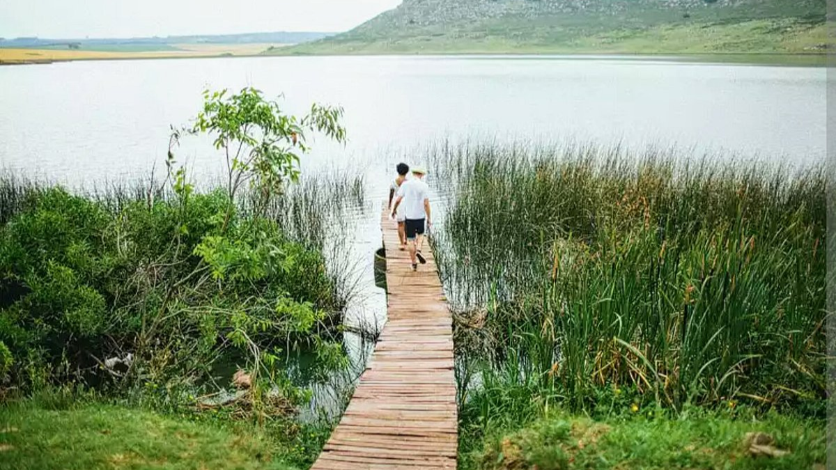 A las afuera de Mar del Plata
