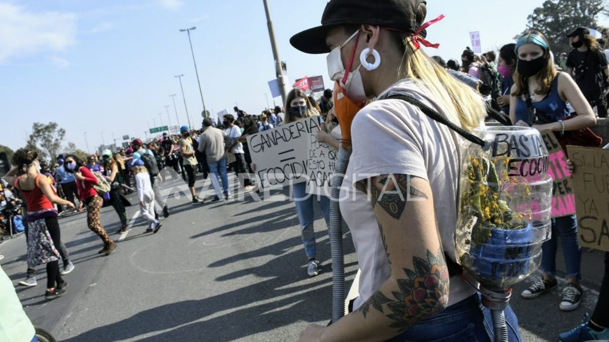 Más de 1.500 personas marcharon con pancartas y carteles en el puente Rosario-Victoria para pedir por la Ley de Humedales.&nbsp;