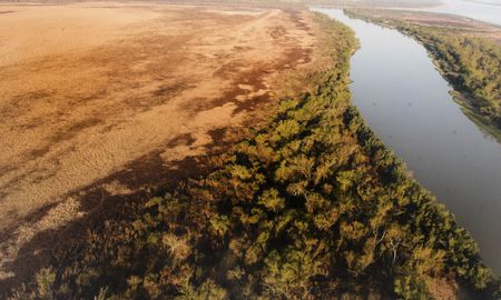 A diferencia de otras islas del Delta del Paraná, que surgieron y se desarrollaron por obra y gracia de la naturaleza, la génesis de la isla Los Mástiles es distinta y hasta tiene una fecha real de nacimiento: 8 de octubre del año 1943.