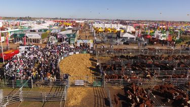 AgroActiva 2026 prepara una edición ganadera histórica con tecnología de punta y remates de elite AgroActiva 2026 prepara una edición ganadera histórica con tecnología de punta y remates de elite