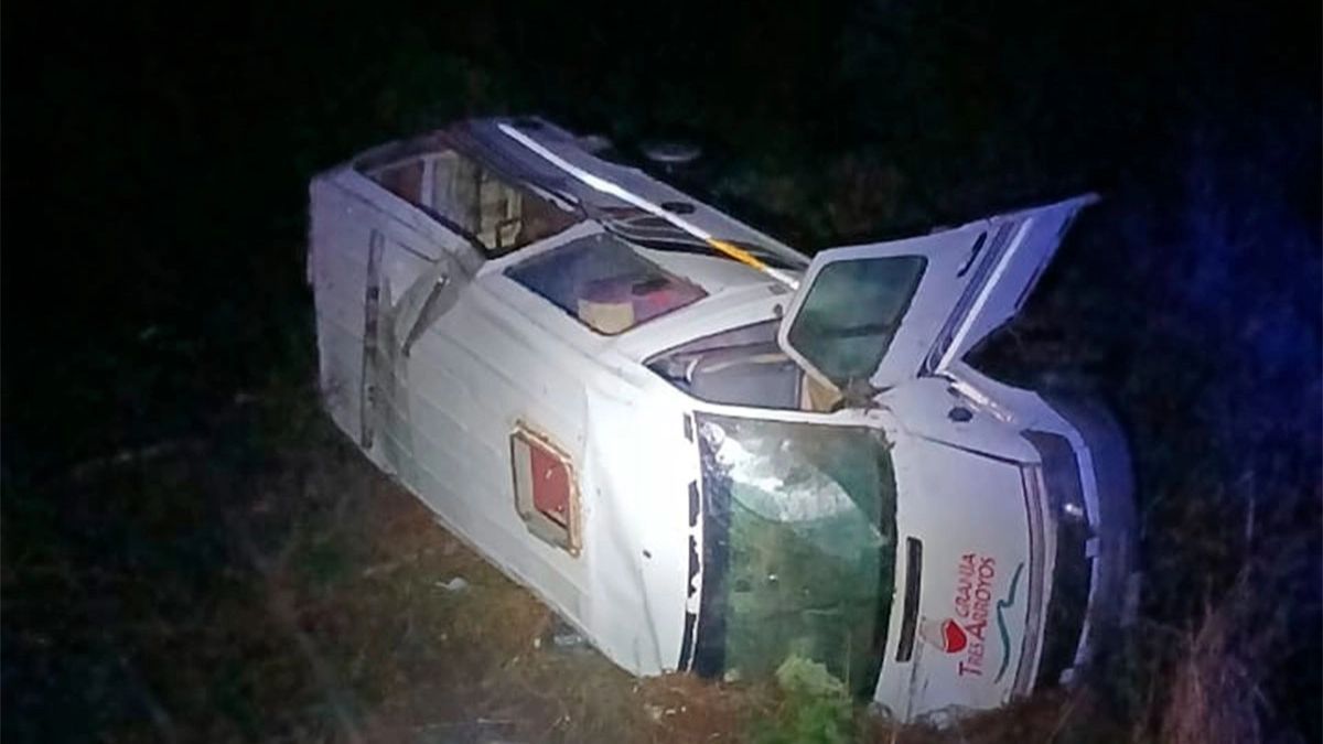 La camioneta volcó tras intentar esquivar un carpincho en la Ruta 39.