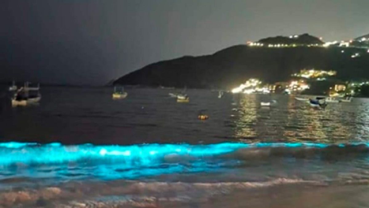 El mar iluminado en la noche de Acapulco