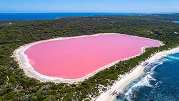 El lago rosa que desafía la lógica y está cerrado al turismo masivo