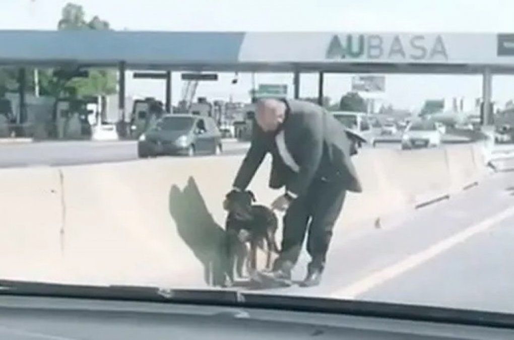 El video que enternece en redes: un hombre rescató a un perrito en el peaje de la autopista