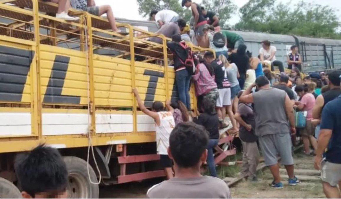 Video: un tren chocó con un camión que llevaba vacas y vecinos las faenaron en el lugar