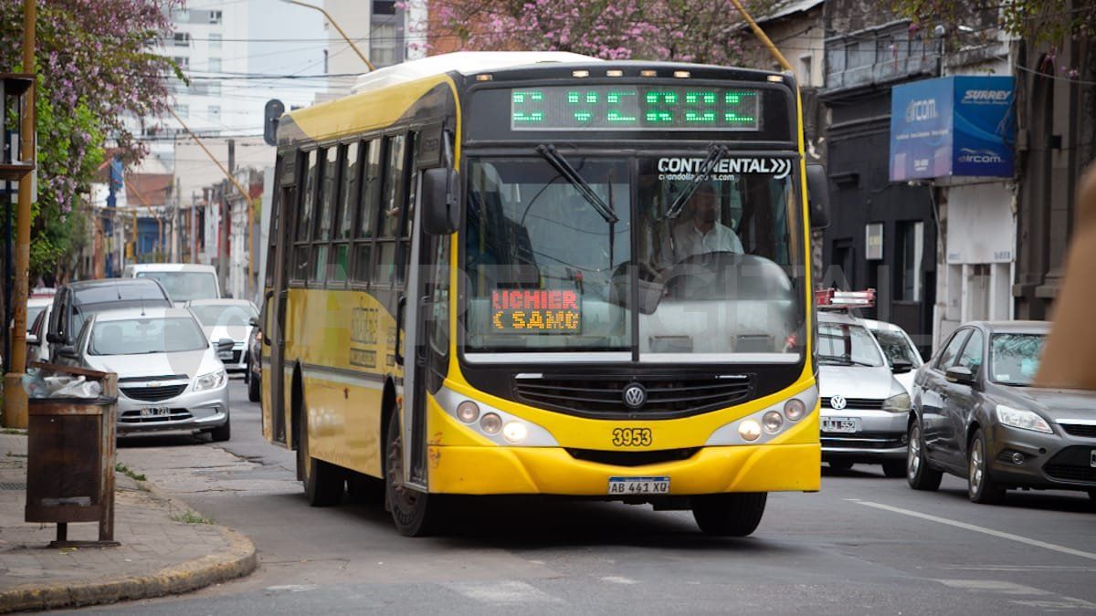 Las líneas C de colectivos no harán paro este lunes.&nbsp;