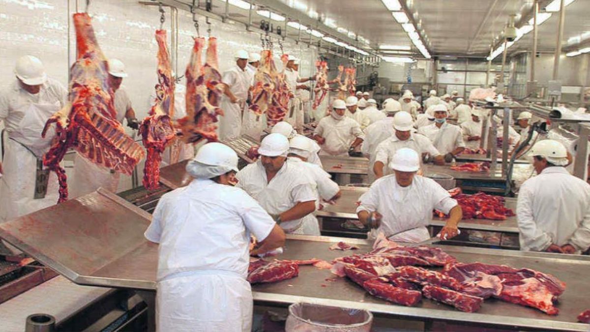 Se faena menos, 20% menos en promedio en los frigoríficos exportadores porque no hay novillos