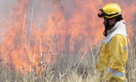 Se reactivaron focos de incendios forestales en la provincia de Corrientes Se reactivaron focos de incendios forestales en la provincia de Corrientes