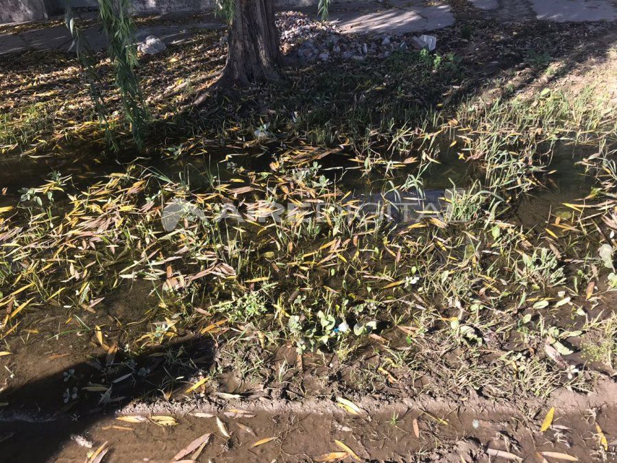 Caños rotos, inundación y olor nauseabundo en Villa del Parque