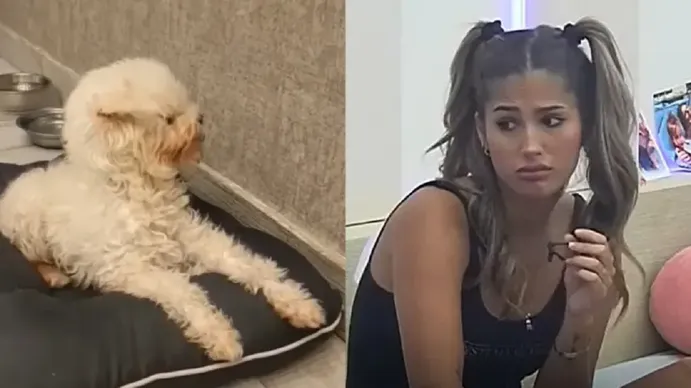 Gran Hermano: acusan a la familia de Julieta Poggio de filtrar información del afuera