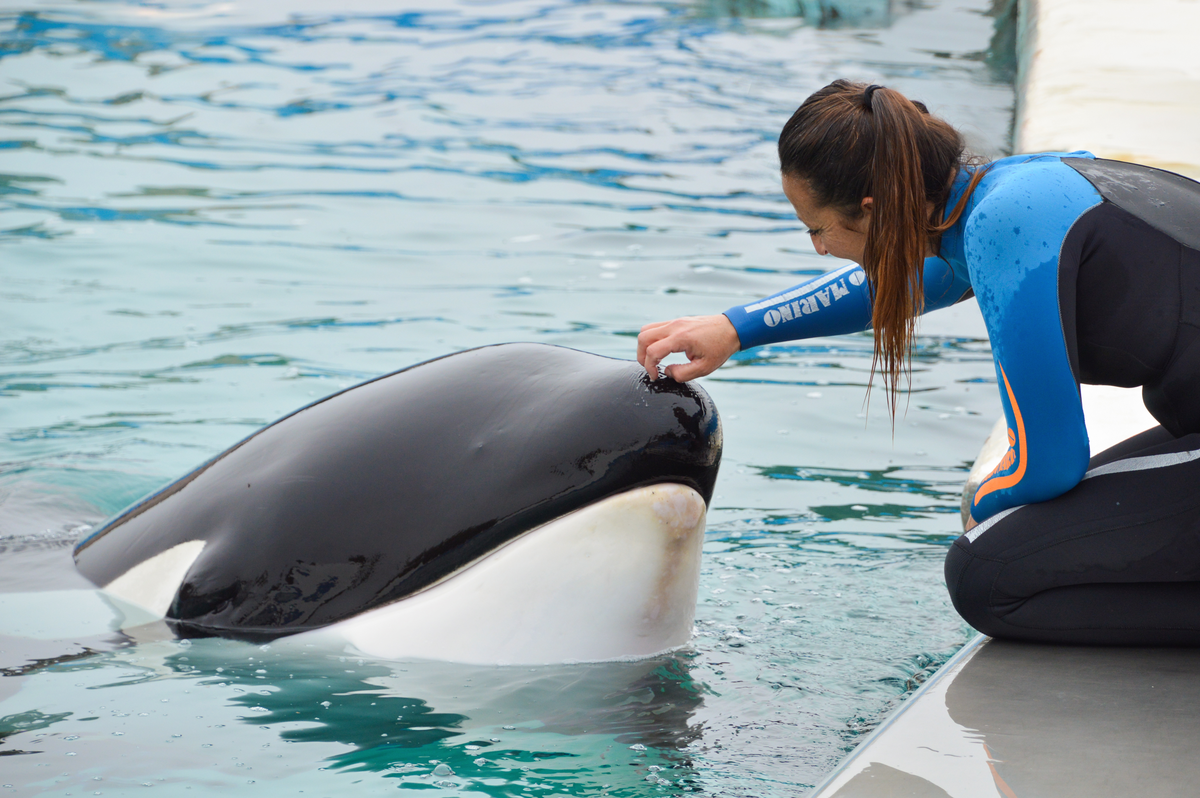 El increíble parque para un fin de semana junto a los más chicos. El increíble parque para un fin de semana junto a los más chicos.