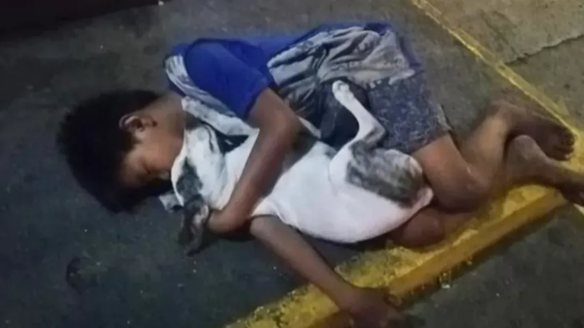 La historia del niño que se aferra a su perro para no sufrir frío
