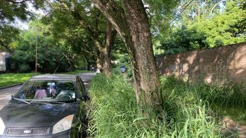 Vecinos de barrio sur piden urgentemente una solución para una zona con pastizales muy altos.