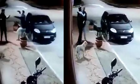 Todo quedó registrado en una cámara de seguridad. Todo quedó registrado en una cámara de seguridad.