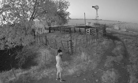 abigeato frustrado en las colonias: una camara solar permitio atrapar al delincuente abigeato frustrado en las colonias: una camara solar permitio atrapar al delincuente