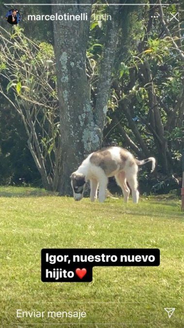 las fotos de la casa de Tinelli en Nordelta