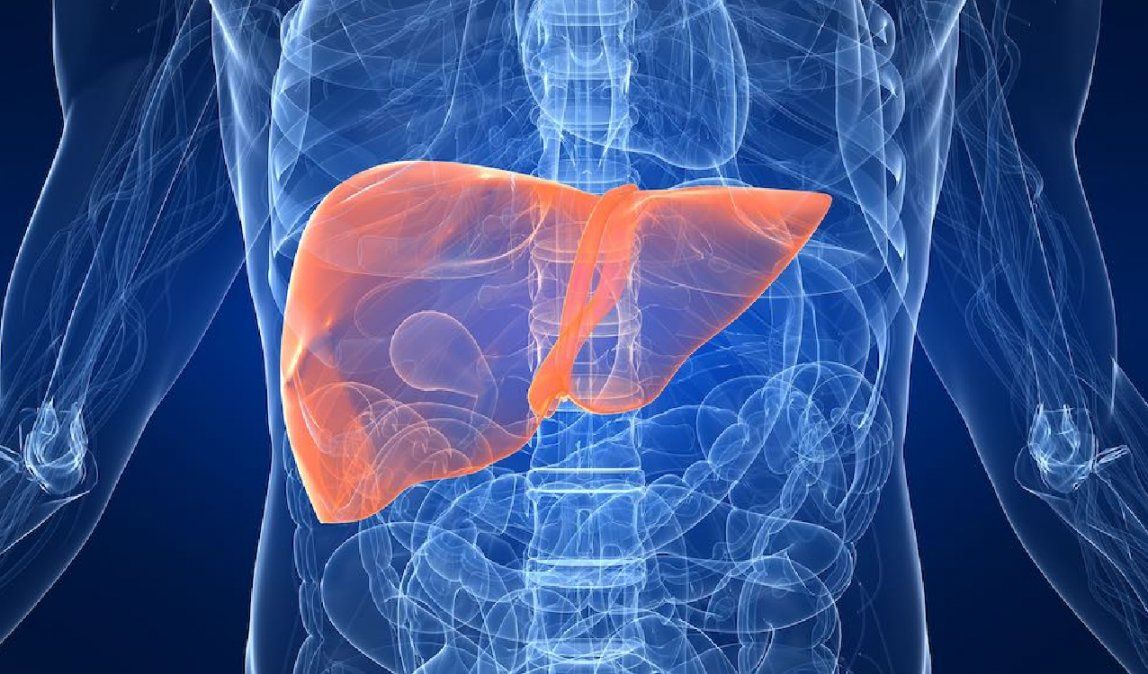 Cuál es el alimento perfecto para mejorar la salud del hígado