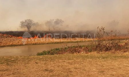 No es la primera vez que suceden incendios de estas características en la zona de islas del río Salado. No es la primera vez que suceden incendios de estas características en la zona de islas del río Salado.